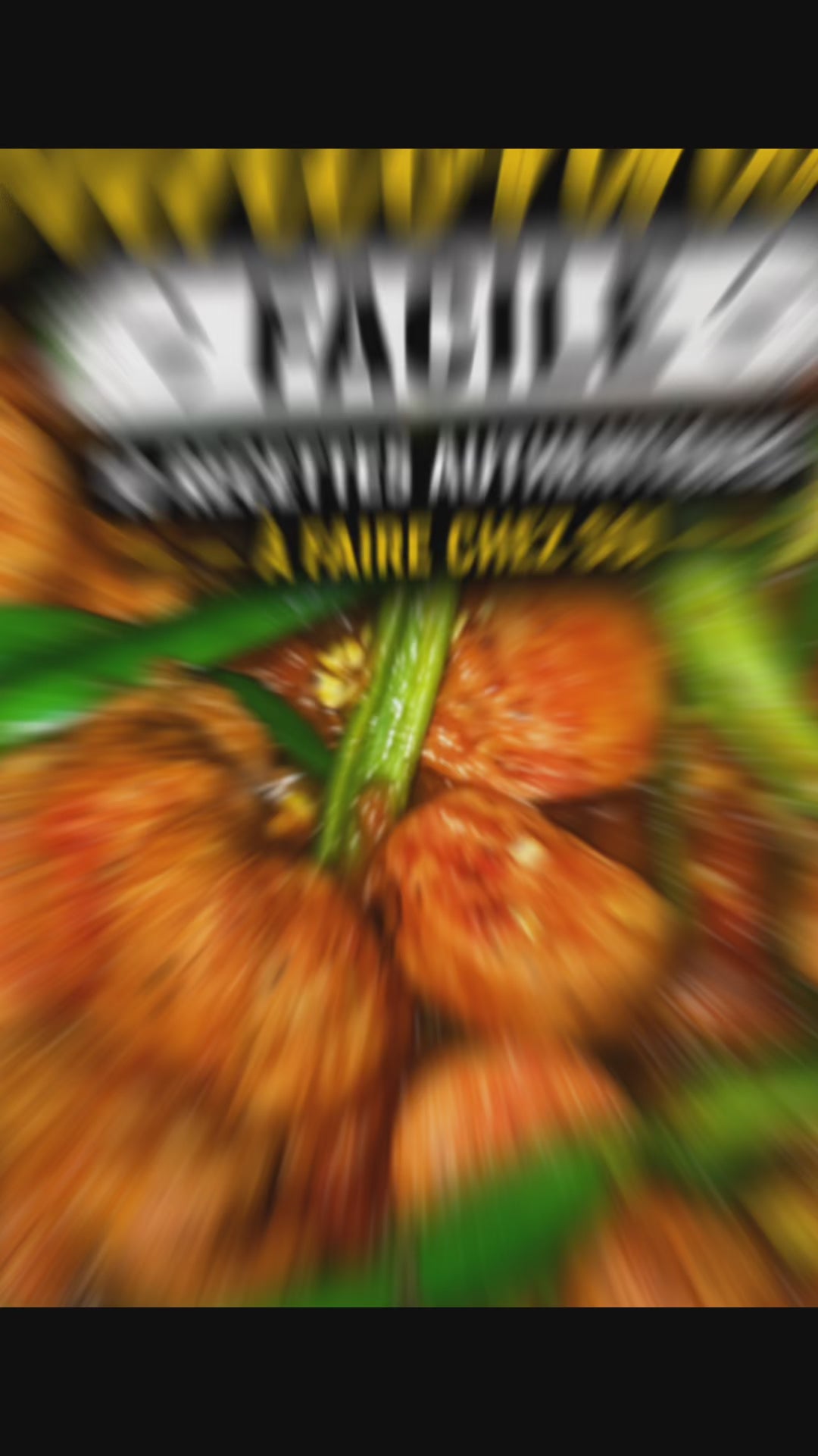 Ebook recettes réunionnaises 🇷🇪